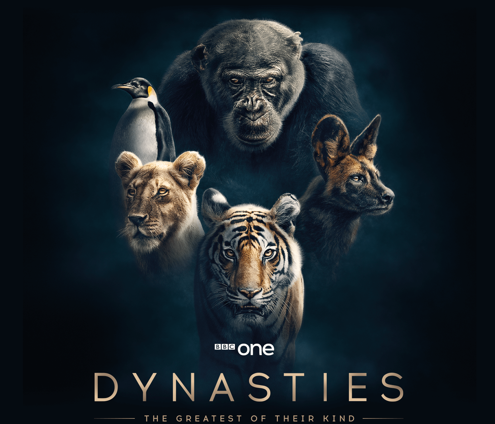 Dynasties