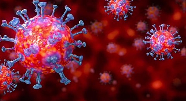 Coronavirus: Everything You Need to Know