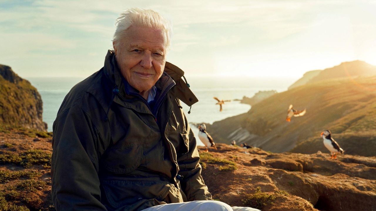 David Attenborough on a cliff top, with puffins in the background.