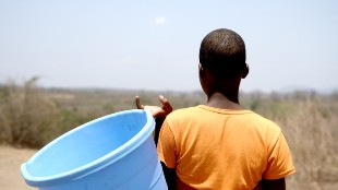 Tamara, wearing an orange t-shirt and carryign a large blue bucket, works in a fields in Malawi as a pregnant 13-year-old girl