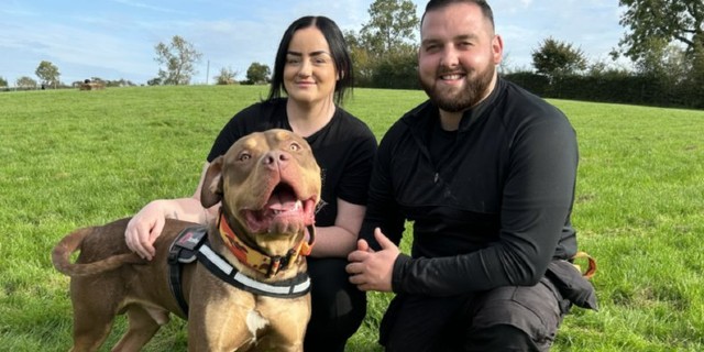 Tom Pattison and Casey Norster with XL bully puppy Zuma