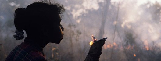 bushfires_burning