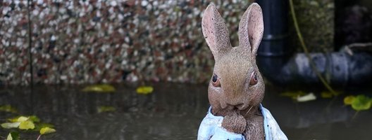 rabbit_flood
