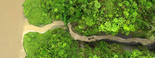 river_legal