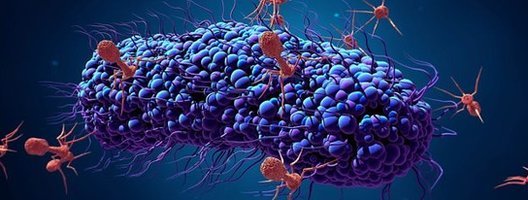 superbugs_diag