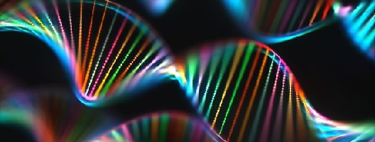DNA genetic code colourful genome