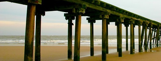 Promotional image for the Walking the Plank programme showing a pier