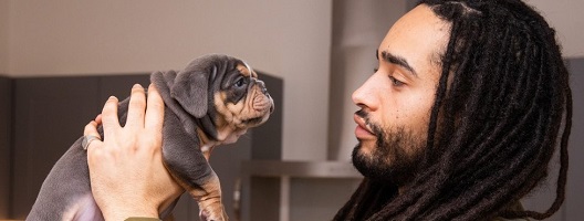 Vet Fabian Rivers with a puppy