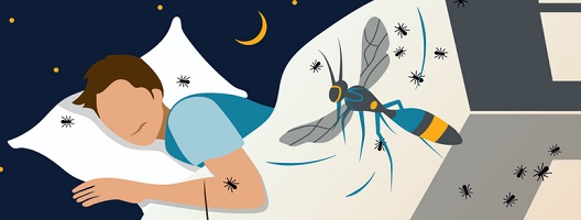 Graphic depicting a man dreaming about insects