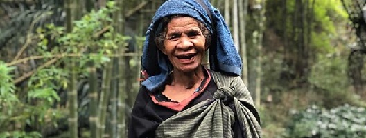 A woman on a bamboo plantation