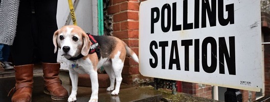 A simple guide to this week's elections