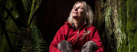 Professor Suzanne Simard