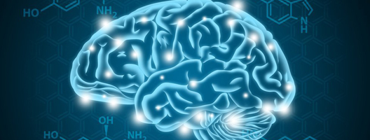 Graphic depicting serotonin in the brain