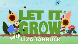 Promotional graphic for the Let It Grow podcast