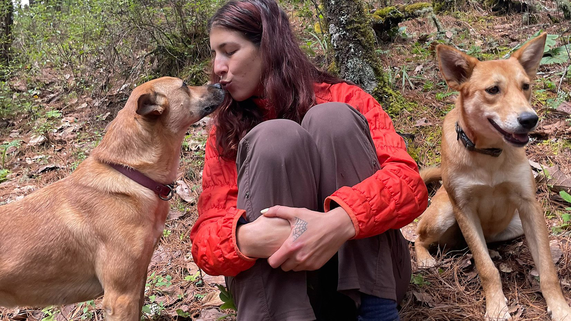 Layla Kudri with street dogs on a hike in Mexico (Credit: BBC)